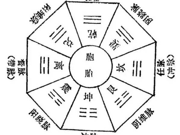 奇經(jīng)八脈小知識