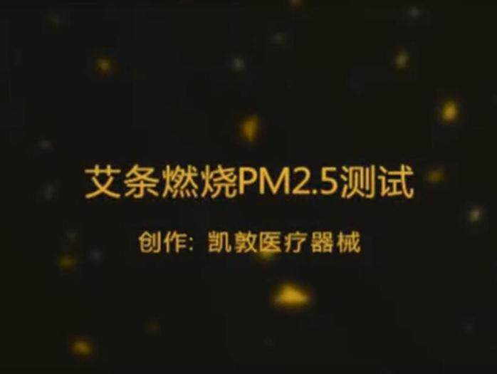 艾條燃燒PM2.5測試